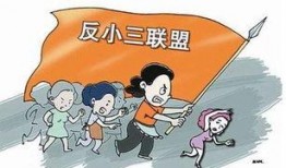 博士最新事件爆料新闻,揭秘幕后真相与惊人爆料